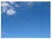 dsc01093_300.jpg