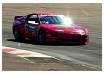 dsc_3304crop_597.jpg